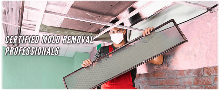 HVAC Mold Removal Flower Mound TX